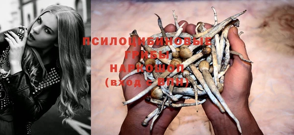 mdpv Алзамай